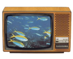 ITT Schaub Lorenz Programmable Television
