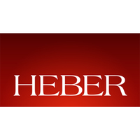 gaming console brand heber